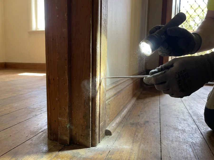 Termite inspection of timber framing by Shield Pest Control