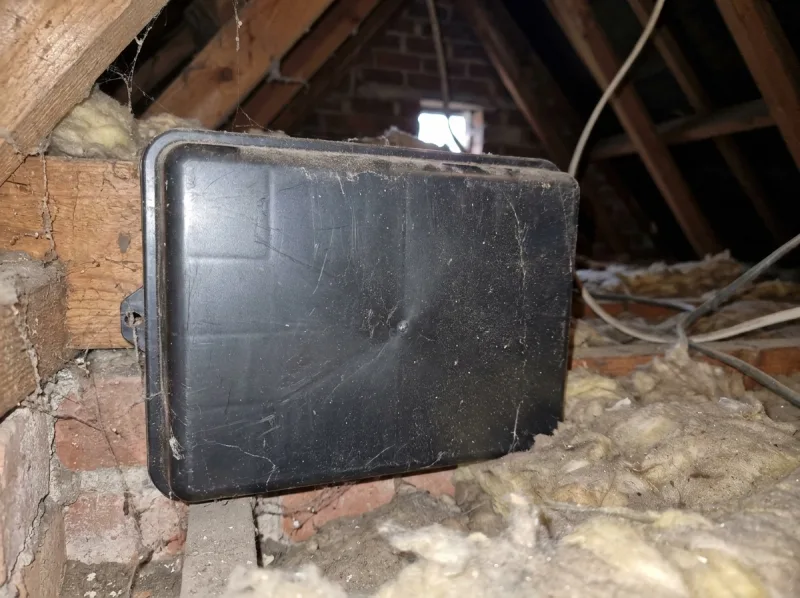 Rodent Control (Rats & Mice) by Shield Pest Control